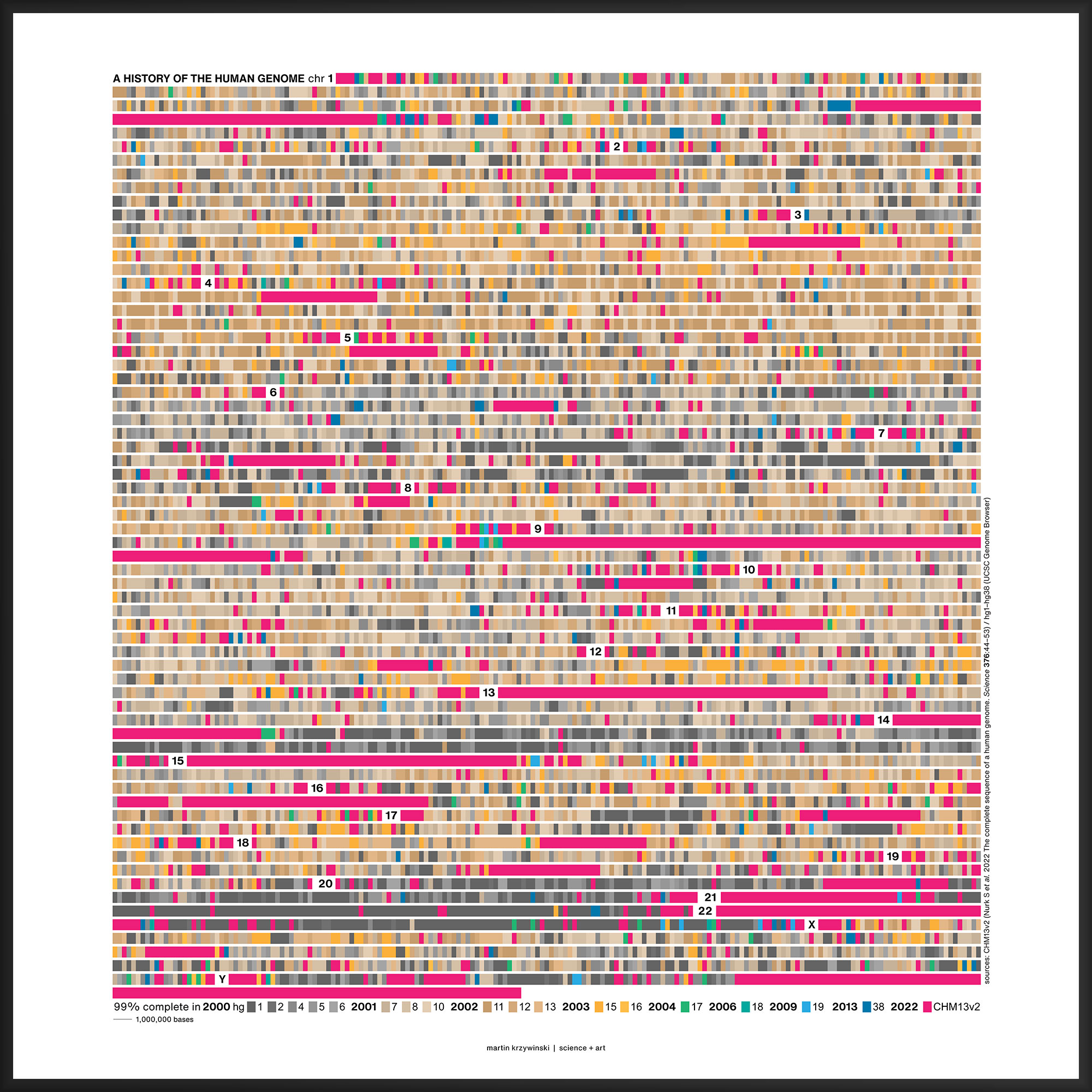 History of the human genome assembly (250kb bins) by Martin Krzywinski