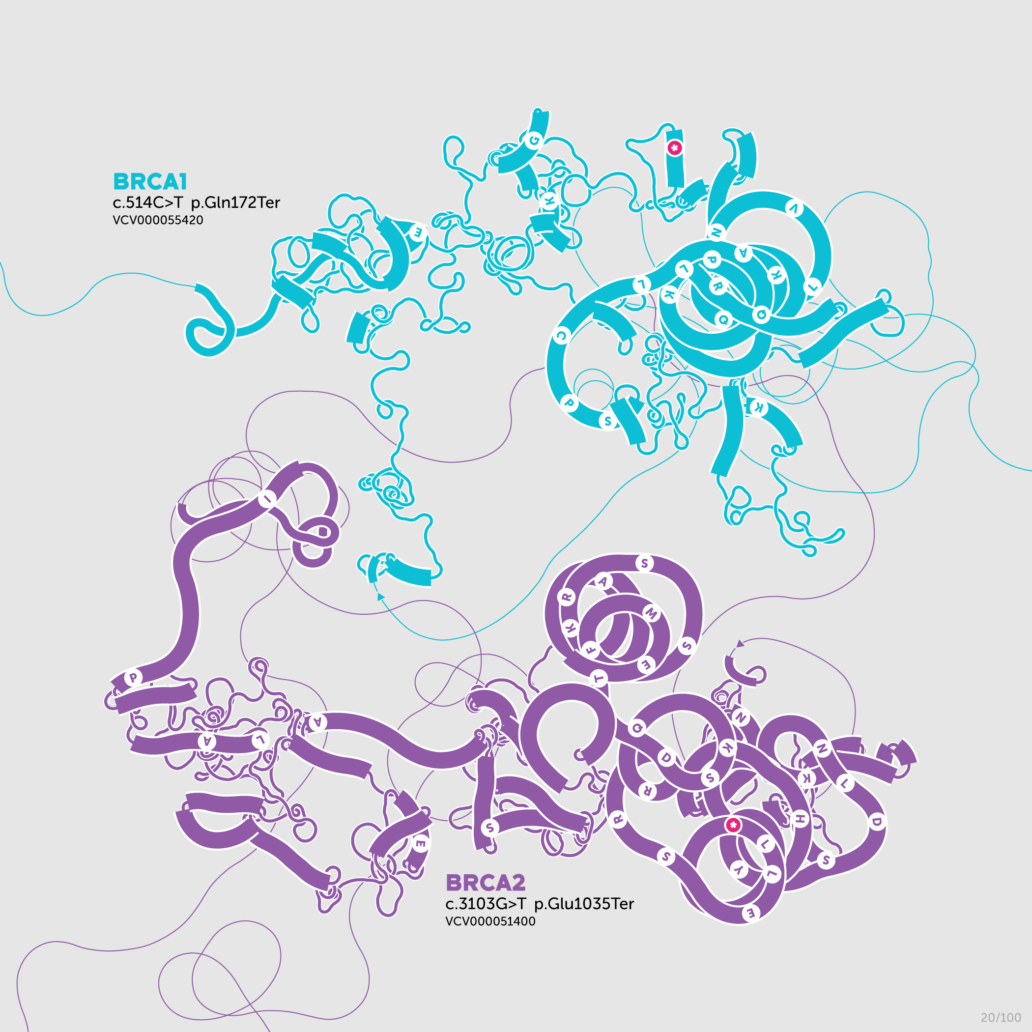 Beyond Belief Campaign BRCA Artwork (A one-of-a-kind way of saying thank you) -- science + art + data visualization / Martin Krzywinski / Martin Krzywinski @MKrzywinski mkweb.bcgsc.ca