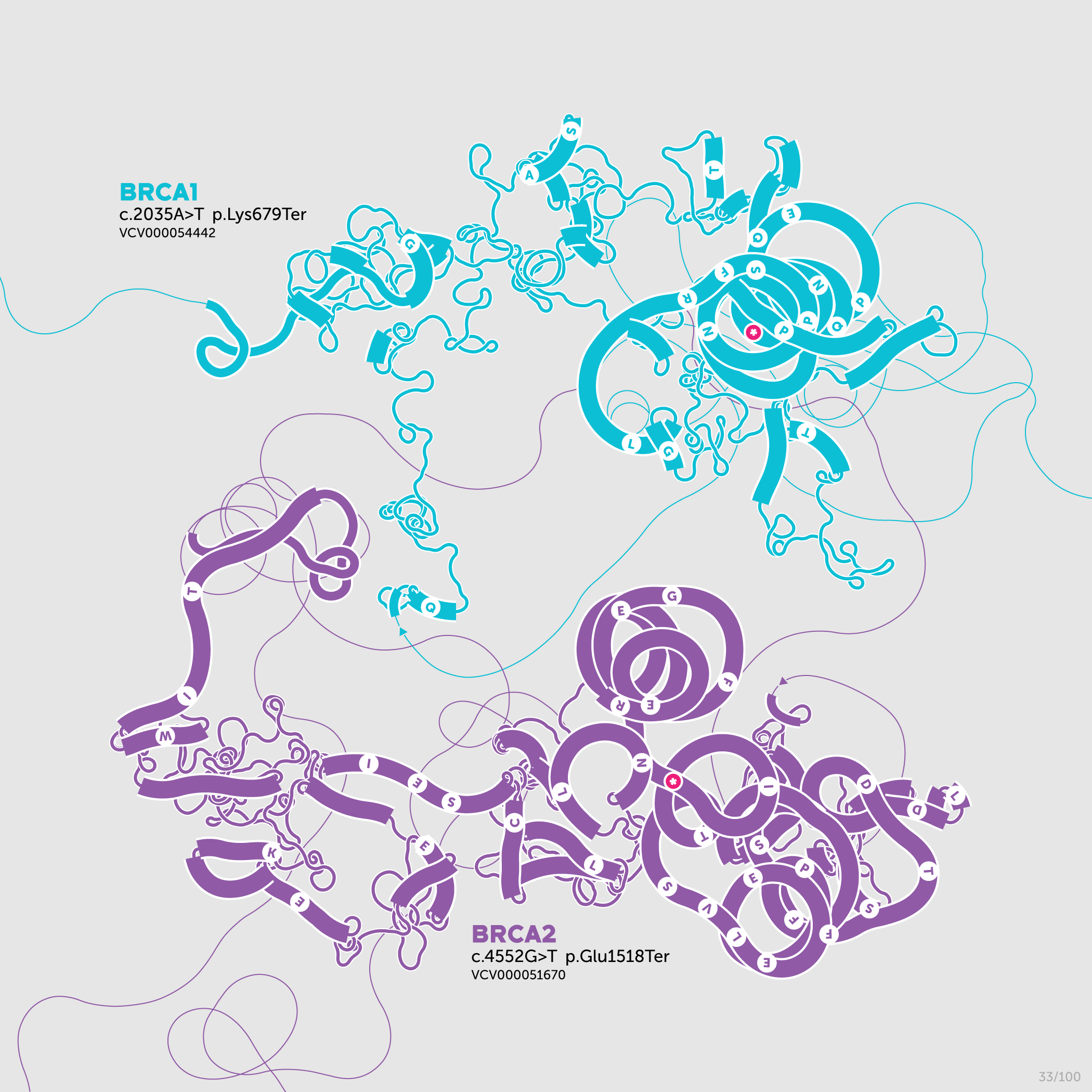 Beyond Belief Campaign BRCA Artwork (A one-of-a-kind way of saying thank you) -- science + art + data visualization / Martin Krzywinski / Martin Krzywinski @MKrzywinski mkweb.bcgsc.ca
