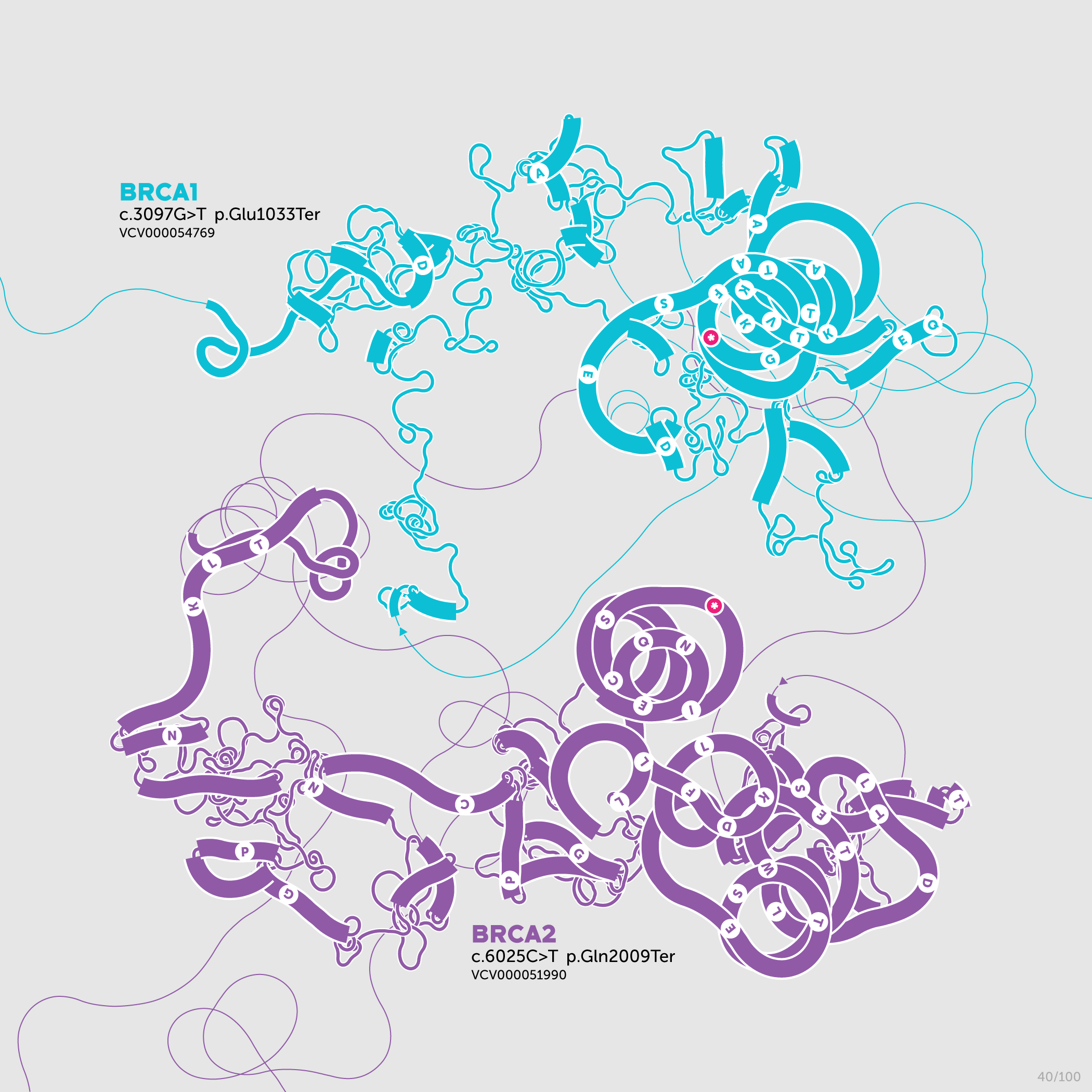 Beyond Belief Campaign BRCA Artwork (A one-of-a-kind way of saying thank you) -- science + art + data visualization / Martin Krzywinski / Martin Krzywinski @MKrzywinski mkweb.bcgsc.ca