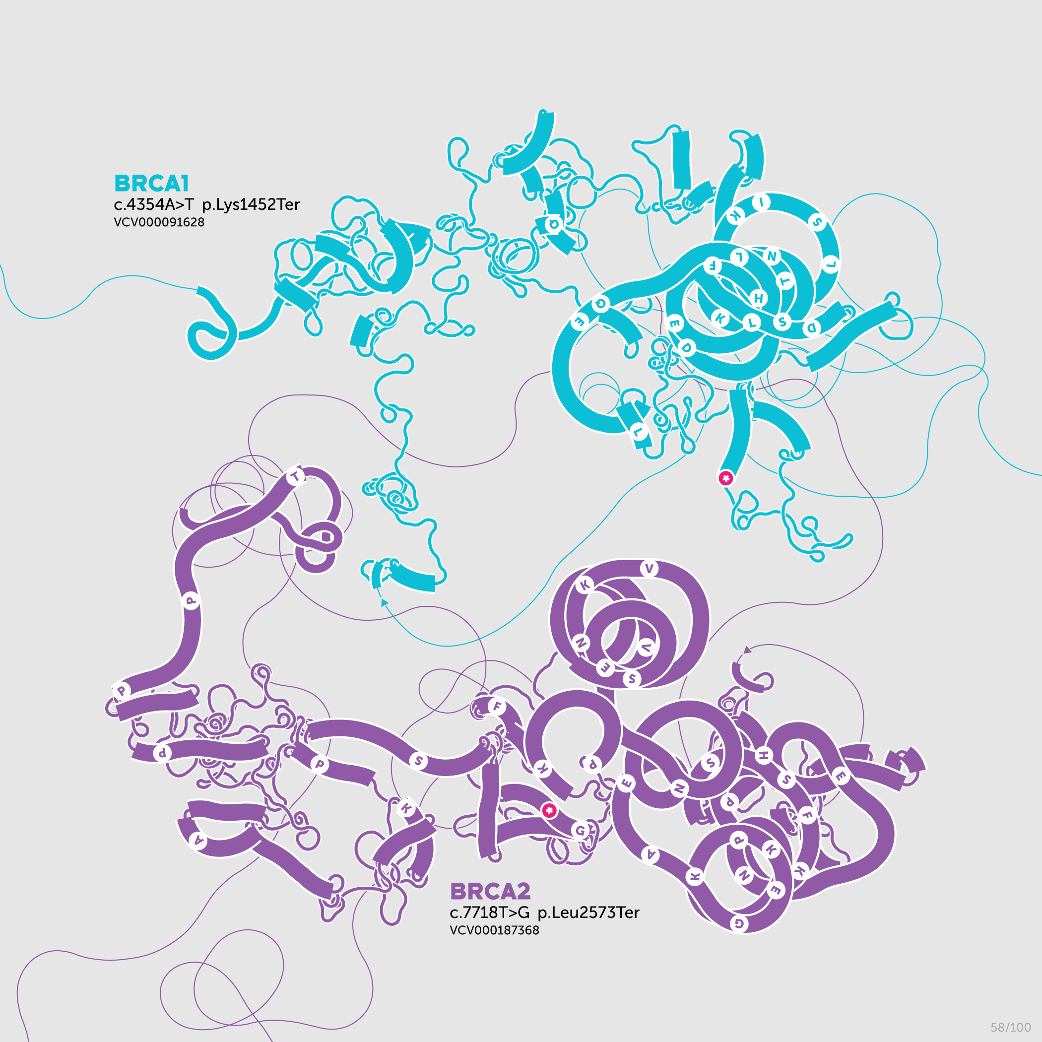 Beyond Belief Campaign BRCA Artwork (A one-of-a-kind way of saying thank you) -- science + art + data visualization / Martin Krzywinski / Martin Krzywinski @MKrzywinski mkweb.bcgsc.ca