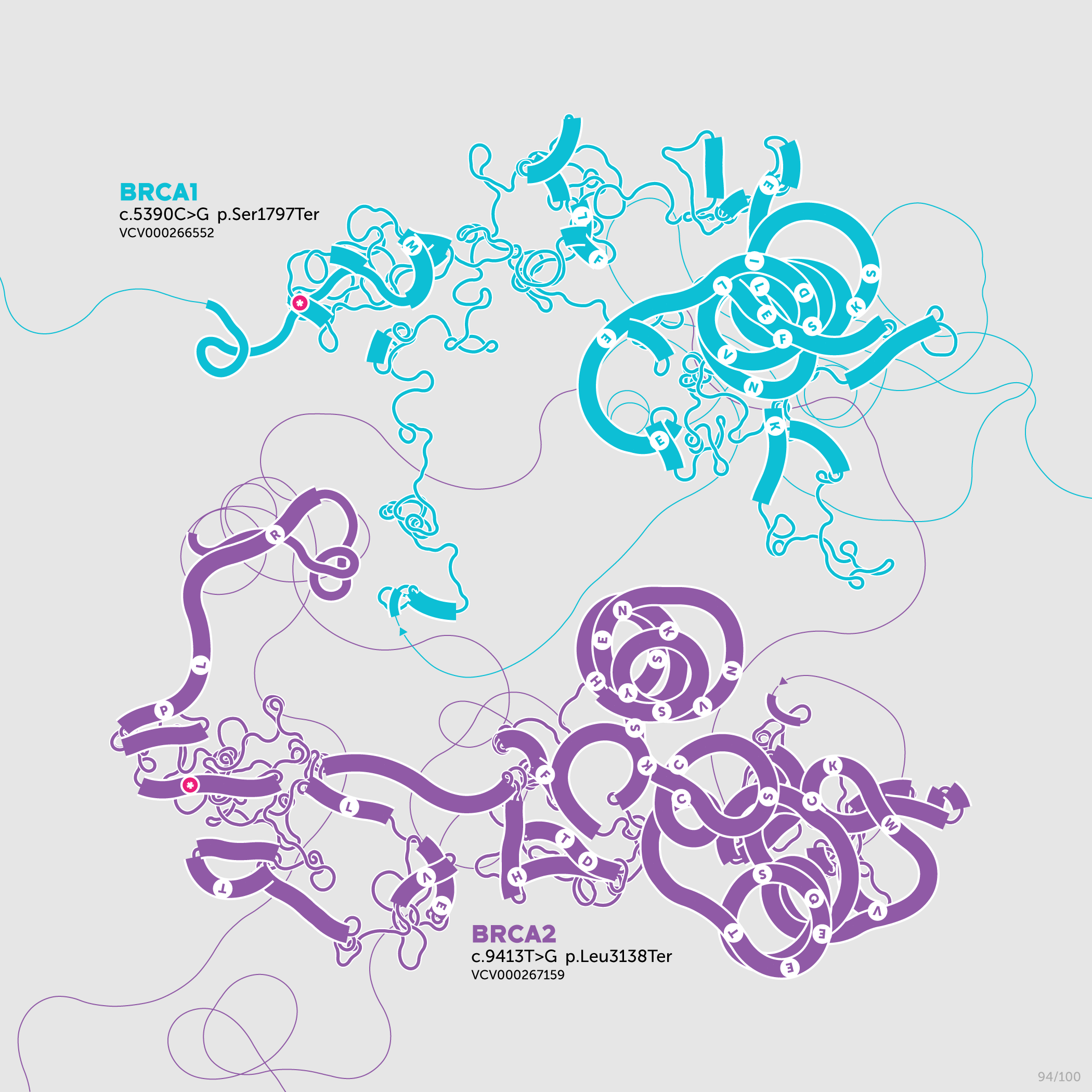 Beyond Belief Campaign BRCA Artwork (A one-of-a-kind way of saying thank you) -- science + art + data visualization / Martin Krzywinski / Martin Krzywinski @MKrzywinski mkweb.bcgsc.ca