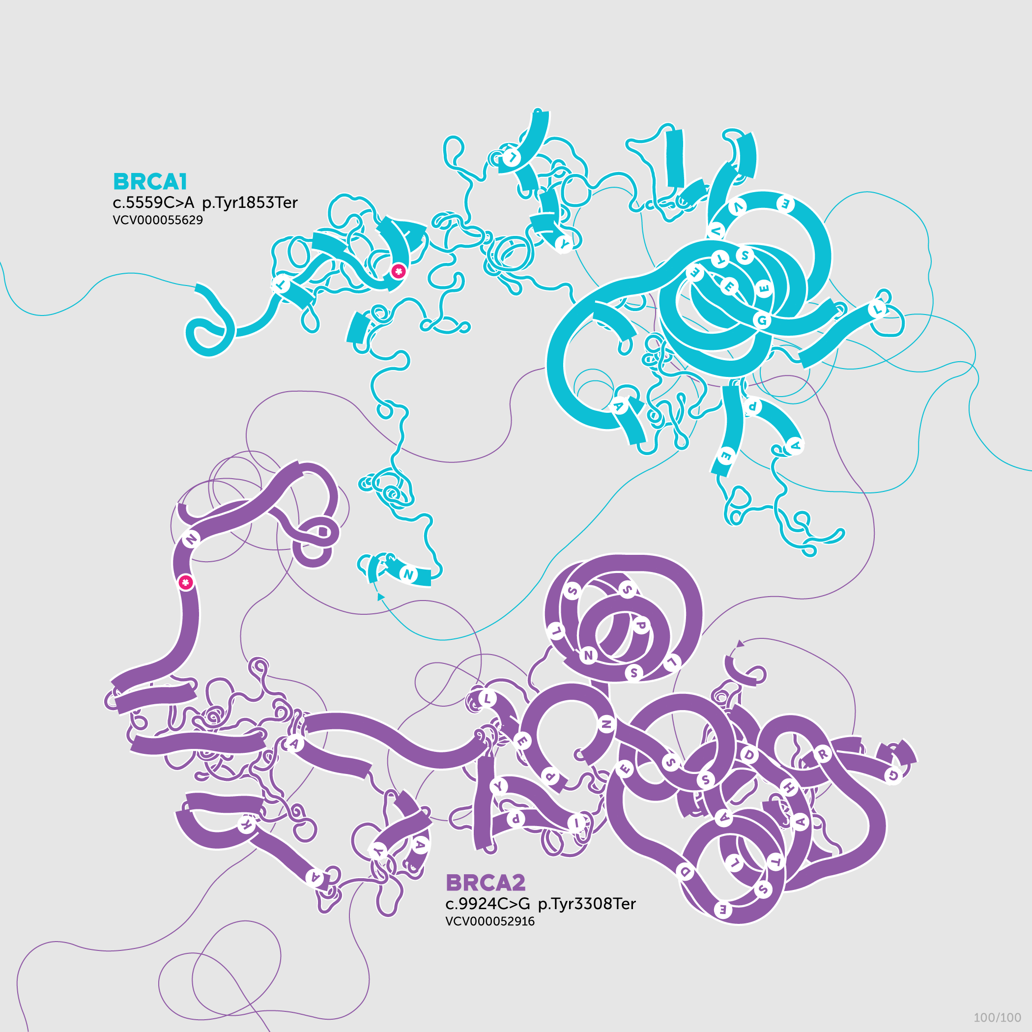 Beyond Belief Campaign BRCA Artwork (A one-of-a-kind way of saying thank you) -- science + art + data visualization / Martin Krzywinski / Martin Krzywinski @MKrzywinski mkweb.bcgsc.ca