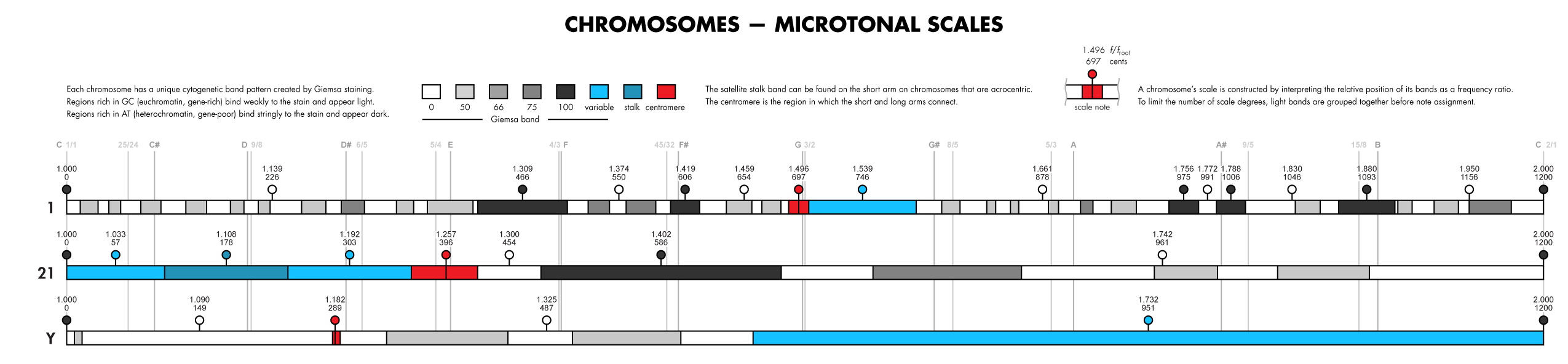 Chromosomes (Music, genomes, split-flaps) -- science + art + data visualization / Martin Krzywinski / Martin Krzywinski @MKrzywinski mkweb.bcgsc.ca