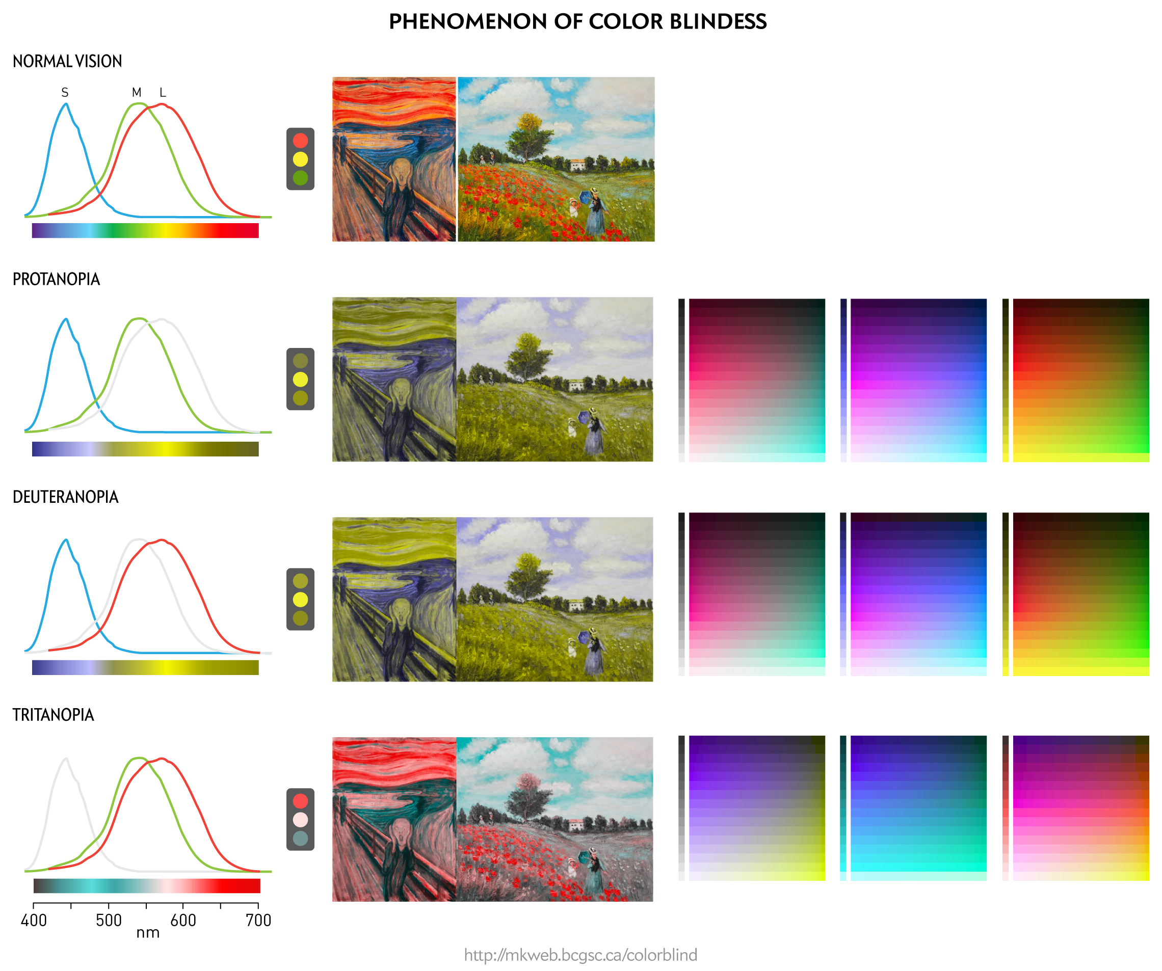 Color photoreceptor profile for color blindness and the appearance of art and objects. / Martin Krzywinski @MKrzywinski mkweb.bcgsc.ca