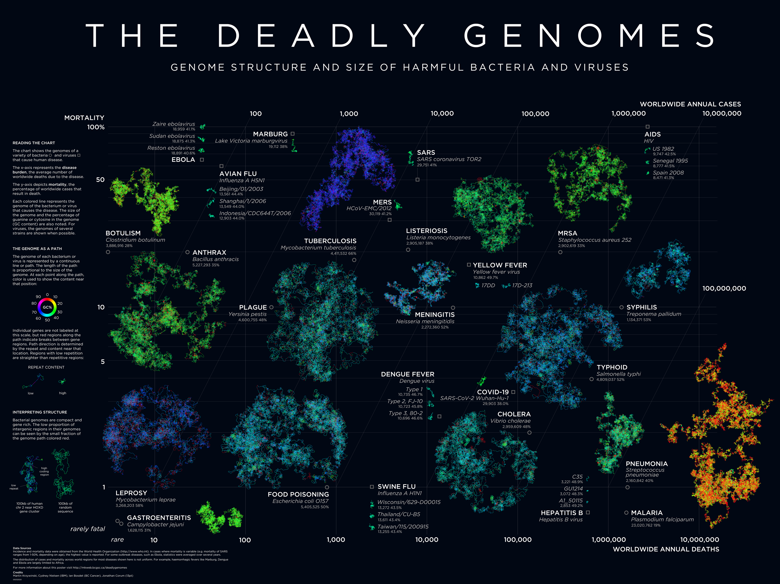 Deadly Genomes - Genome size and structure of harmful bacteria and viruses / Science and Art by Martin Krzywinski