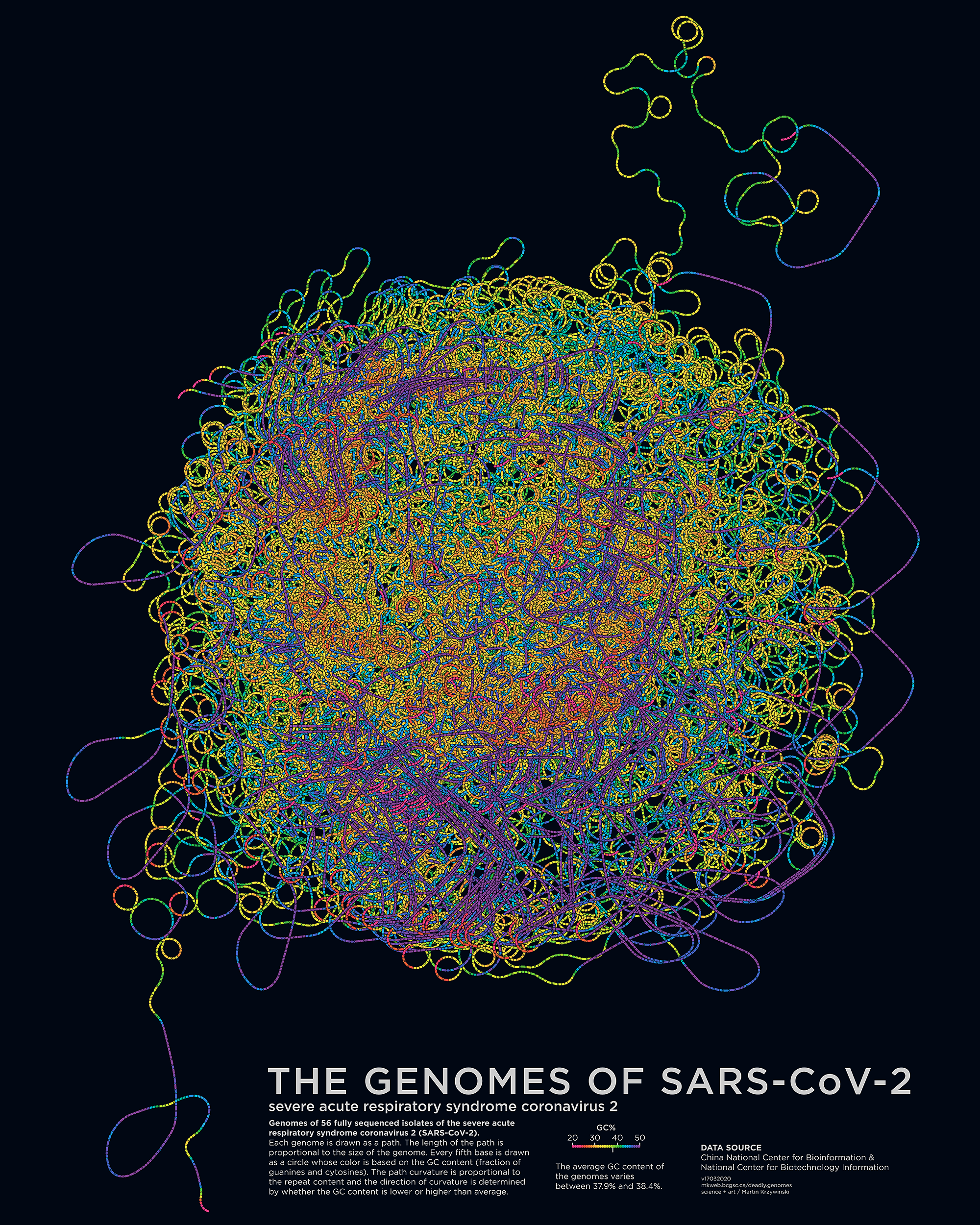 Art posters of the coronavirus genome -- 56 genomes of SARS-CoV-2 / Science and Art by Martin Krzywinski