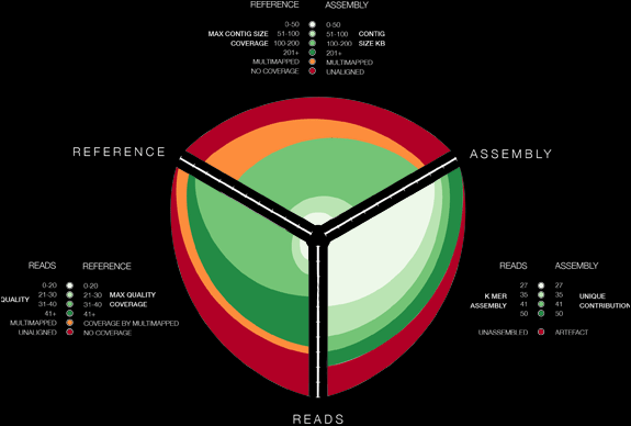  [ Hive Plots - Rational Network Visualization - A Simple, Informative and Pretty Linear Layout for Network Analytics - Martin Krzywinski ] - Assessing genome assembly quality with a hive plot, which compares reads, assembly and reference.