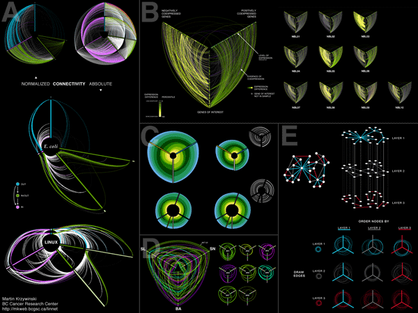 Applications of the linear layout for network visualization.  [ Hive Plots - Rational Network Visualization - A Simple, Informative and Pretty Linear Layout for Network Analytics - Martin Krzywinski ]