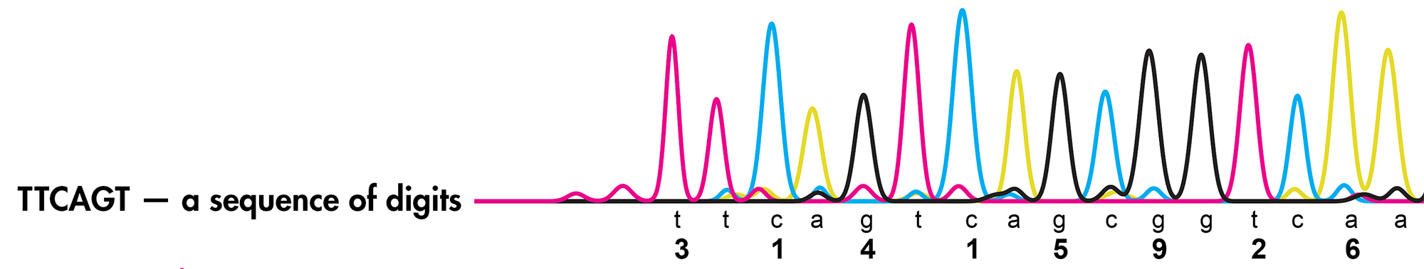 
π Day 2025 Art Posters - TTCAGT: a sequence of digits
 / Martin Krzywinski @MKrzywinski mkweb.bcgsc.ca