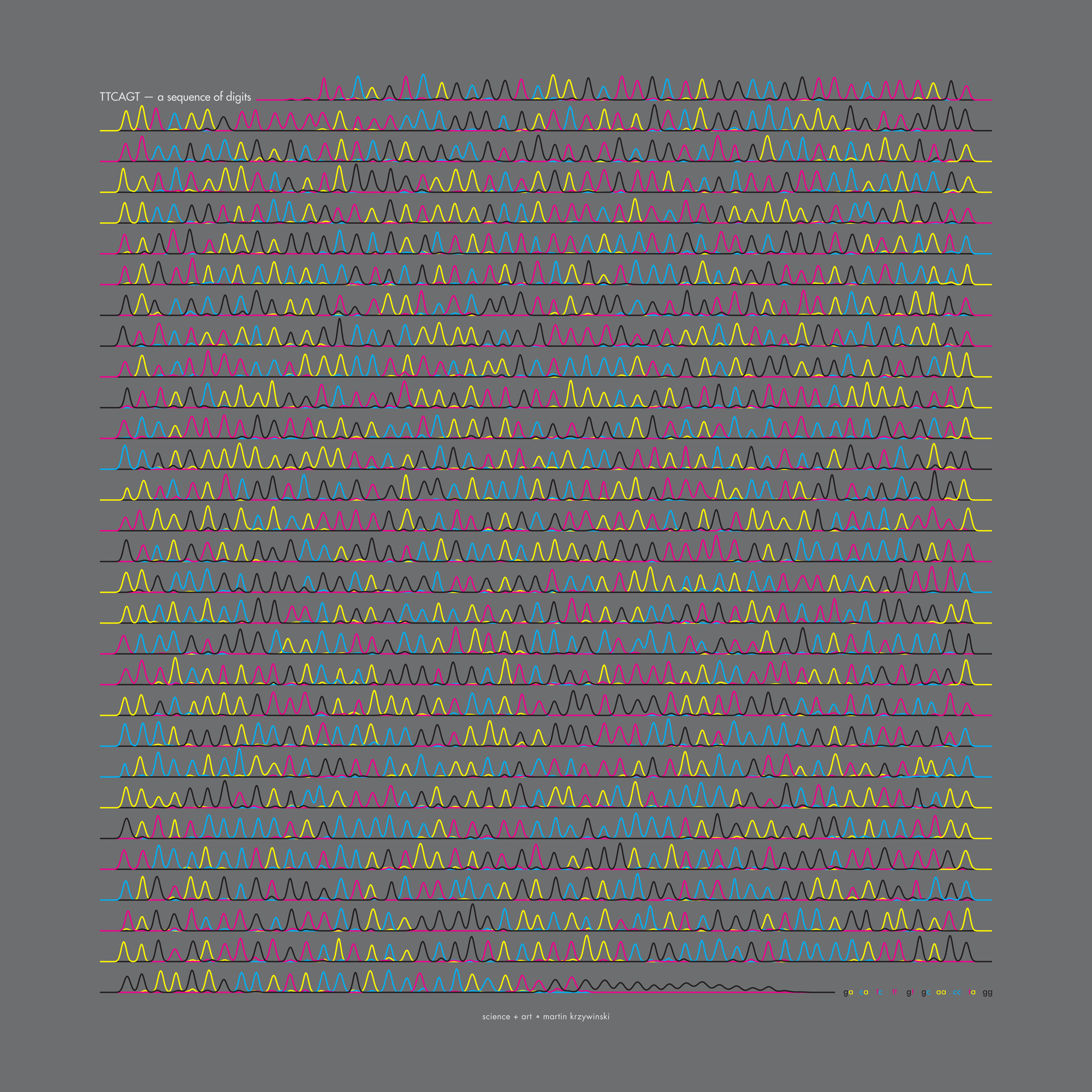 
π Day 2025 Art Posters - TTCAGT: a sequence of digits
 / Martin Krzywinski @MKrzywinski mkweb.bcgsc.ca