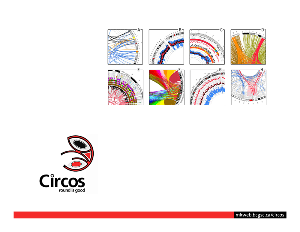 Circos - data viewer - introduction - page 54
