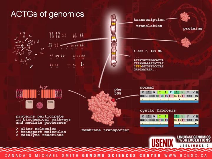 Linux and Genomics - Two Revolutions - USENIX 2004 - Martin Krzywinsk and Yaron Butterfield